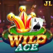 Wild Ace fc178 casino slot